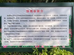 -亚龙湾国际玫瑰谷