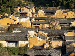 -杨家堂村