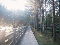 -龙江公园