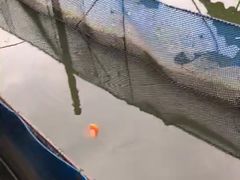 -白塘生态植物园