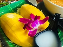 -Jungle Kitchen