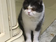 -小时光咖啡馆(开森度假森林店)