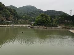 -广州市帽峰山景区