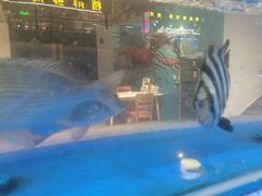 -海月湾海景餐厅( 嵊泗本地老字号店)