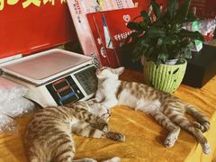 -水街美食城(泛宇邕江一品店)
