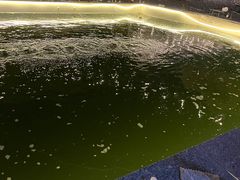 -DGE季风钓虾营地·团建·聚会