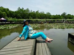 -溱湖国家湿地公园