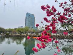 -无锡蠡湖国家湿地公园-蠡园