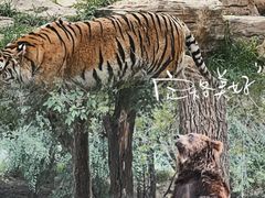 -北京野生动物园