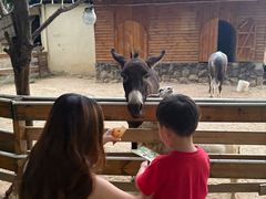 -HERRE·FARM 赫尔露营农场·团建聚会包场