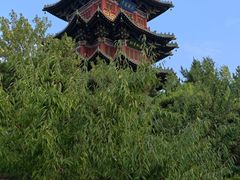 -迎泽公园