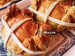 -君豪蟹都·湖景·农家乐(蟹舫苑店)