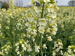 -中国天府农业博览园