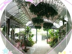 -三圣里·中餐宴请·自助烤肉·烤全羊·柴火鸡(旗舰店)