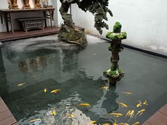 -觀芷隐轩