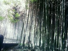 -茶肆(袁家村店)