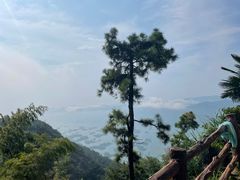 -仙岛湖旅游风景区