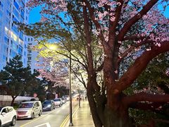 -Yeyije 韩定食