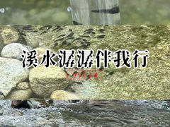 -沣峪口