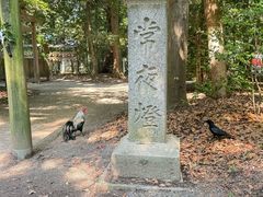 -热田神宫