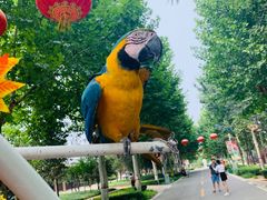 -辛玛王国游乐园