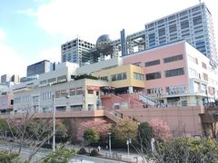 -台场海滨公园船码头