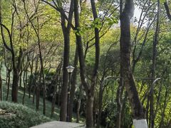 -龙头寺公园