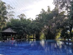 -广悦华阳朔河畔度假酒店(十里画廊遇龙河店)