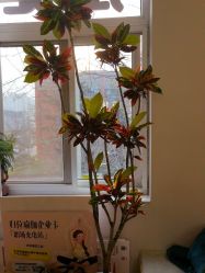 -归位瑜伽＆普拉提馆