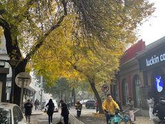 -北京国子监胡同