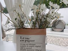 -锦鲤·咖啡(辰熙大厦店)