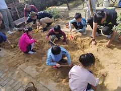 -樂桃源奉贤黄桃种植采摘基地