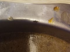 -季季红火锅(长沙步行街店)