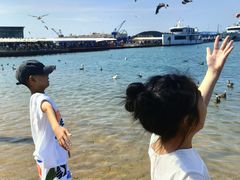 -海驴岛(荣成市)