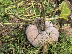 -仙海旅游度假区