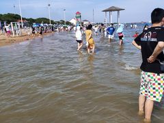 -碧海金沙