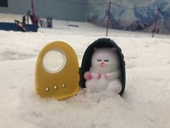 -哈尔滨热雪奇迹