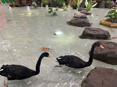 -首创奥特莱斯(北京店)