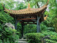 -广州兰圃