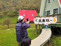 -关山草原