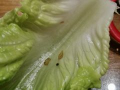 -三肥两瘦烤肉(鹿城店)
