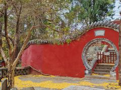 -泰山风景名胜区-普照寺