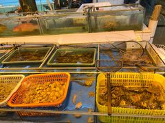 -广东名门