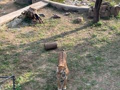 -石家庄市动物园