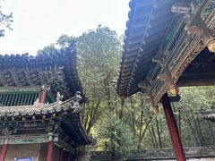 -藏山旅游风景区