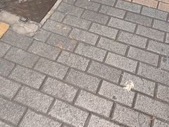 -老山村酒楼(白石洲店)