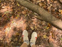 -上海佘山国家森林公园天马山园