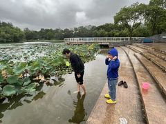 -新江湾城公园