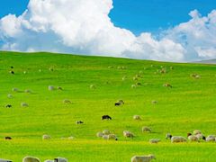 -呼和诺尔旅游景区