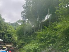 -将军关探险漂流